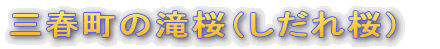 �O�t���̑���i��������j�@