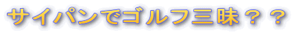 �T�C�p���ŃS���t�O���H�H