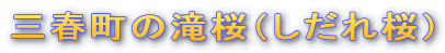 �O�t���̑���i��������j