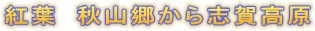 �g�t�@�H�R������u�ꍂ��
