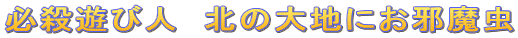 �K�E�V�ѐl�@�k�̑�n�ɂ��ז���
