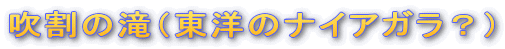 �����̑�i���m�̃i�C�A�K���H�j