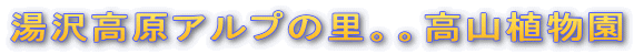 ���򍂌��A���v�̗��B�B���R�A����